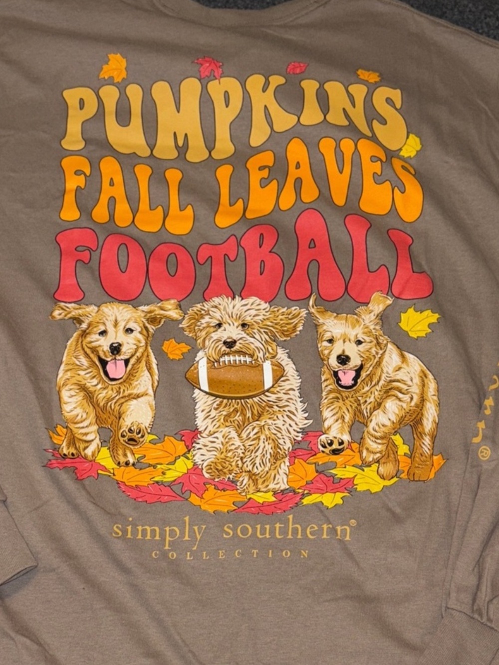 Simply Southern Brown Long Sleeve Tee with Yellow, Orange & Red Graphic